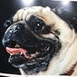 User picture for Dave Thomas