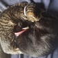 User picture for Bob P