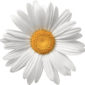 User picture for Thomas Prechtl