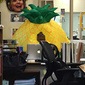 User picture for Joe Pineapple