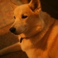 User picture for Sadie Bree