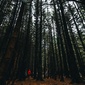 User picture for Martyn Hathaway