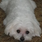 User picture for Sam Ly