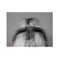 User picture for Mohammad Hassabo