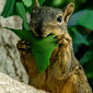 User picture for Laurence Bernstein