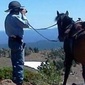 User picture for William Hunter