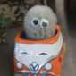 User picture for Eva Verde