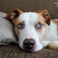 User picture for Nick Radcliffe