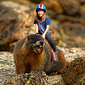 User picture for Tong Thao