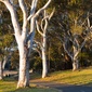 User picture for James McGhie