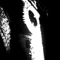 User picture for James Jewers