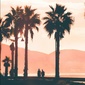 User picture for Costin Mocanu