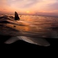 User picture for steve wesig