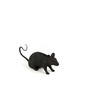 User picture for Cinghia Lino