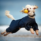 User picture for Darren Hall
