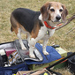 User picture for Howard Paul