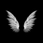 User picture for Varun Rock