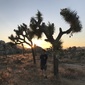 User picture for John Quach