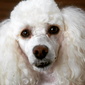 User picture for Woody Martin