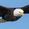 User picture for Michael Senn