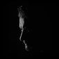 User picture for Marko Grzunov