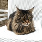 User picture for Branka Vostic