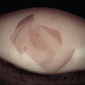 User picture for juanjo berniz