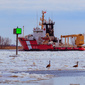 User picture for William Campion