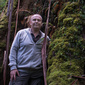 User picture for Damian Diviny