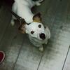 User picture for Yiannis Soukas