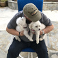 User picture for Steven Grove