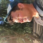 User picture for Paul Chick