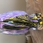 User picture for Tom hystad