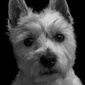 User picture for Nathan Schafer