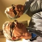 User picture for Joseph Weisbrod