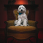 User picture for Julian Turton