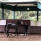 User picture for Klaus Trotter