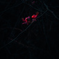 User picture for Sunil Prajapati
