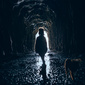 User picture for michael madore