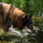 User picture for Mike Allen