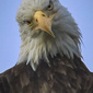 User picture for John Gambriel