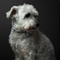 User picture for Dusty Cooper