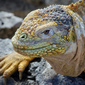 User picture for David P
