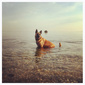 User picture for Angelo Kouloufakos