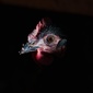 User picture for Joshua Dacres