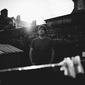 User picture for Rob Dight