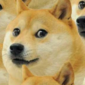 User picture for Clint Johny