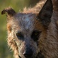 User picture for Rafe Robinson
