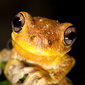 User picture for Dave Pinson