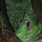 User picture for Alberto Bellini